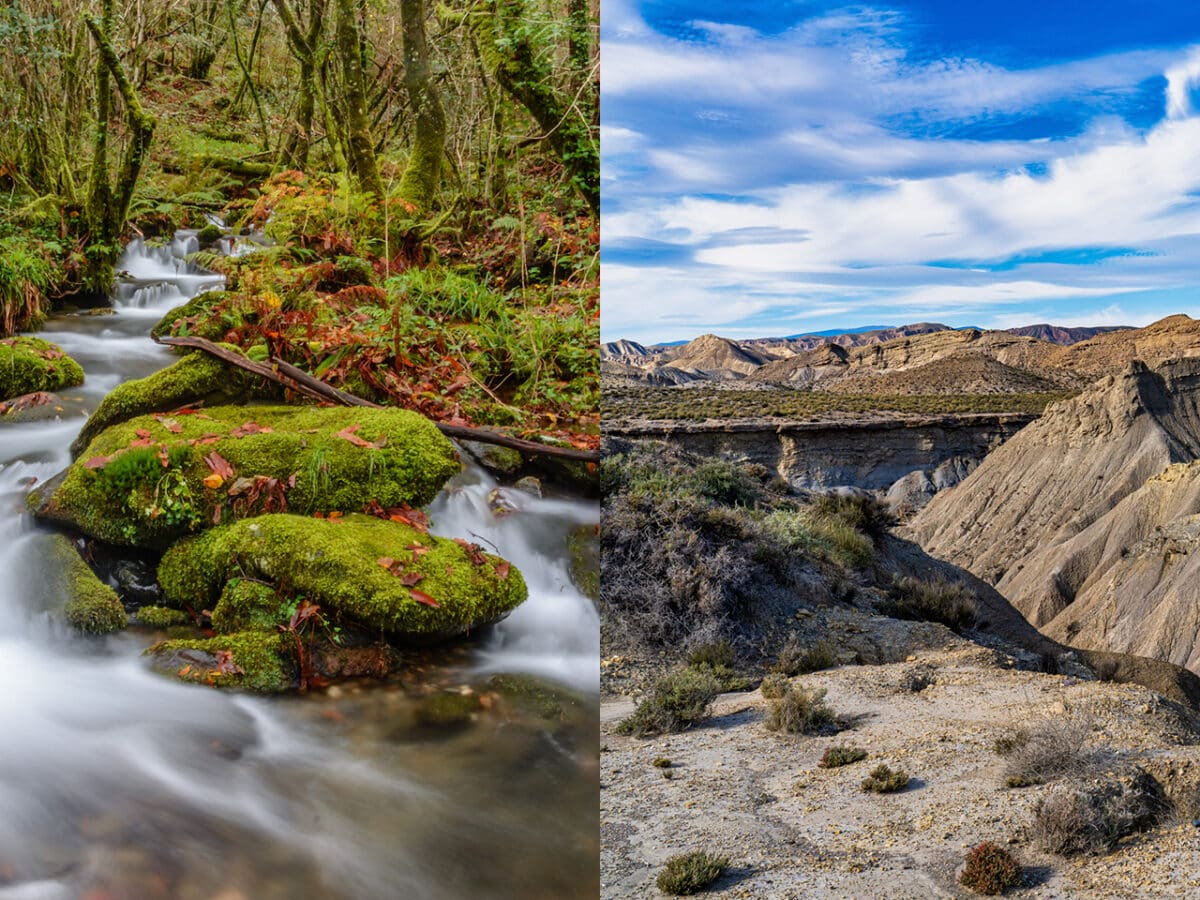 España: del desierto a la selva tropical en un solo día ¿cómo es posible?