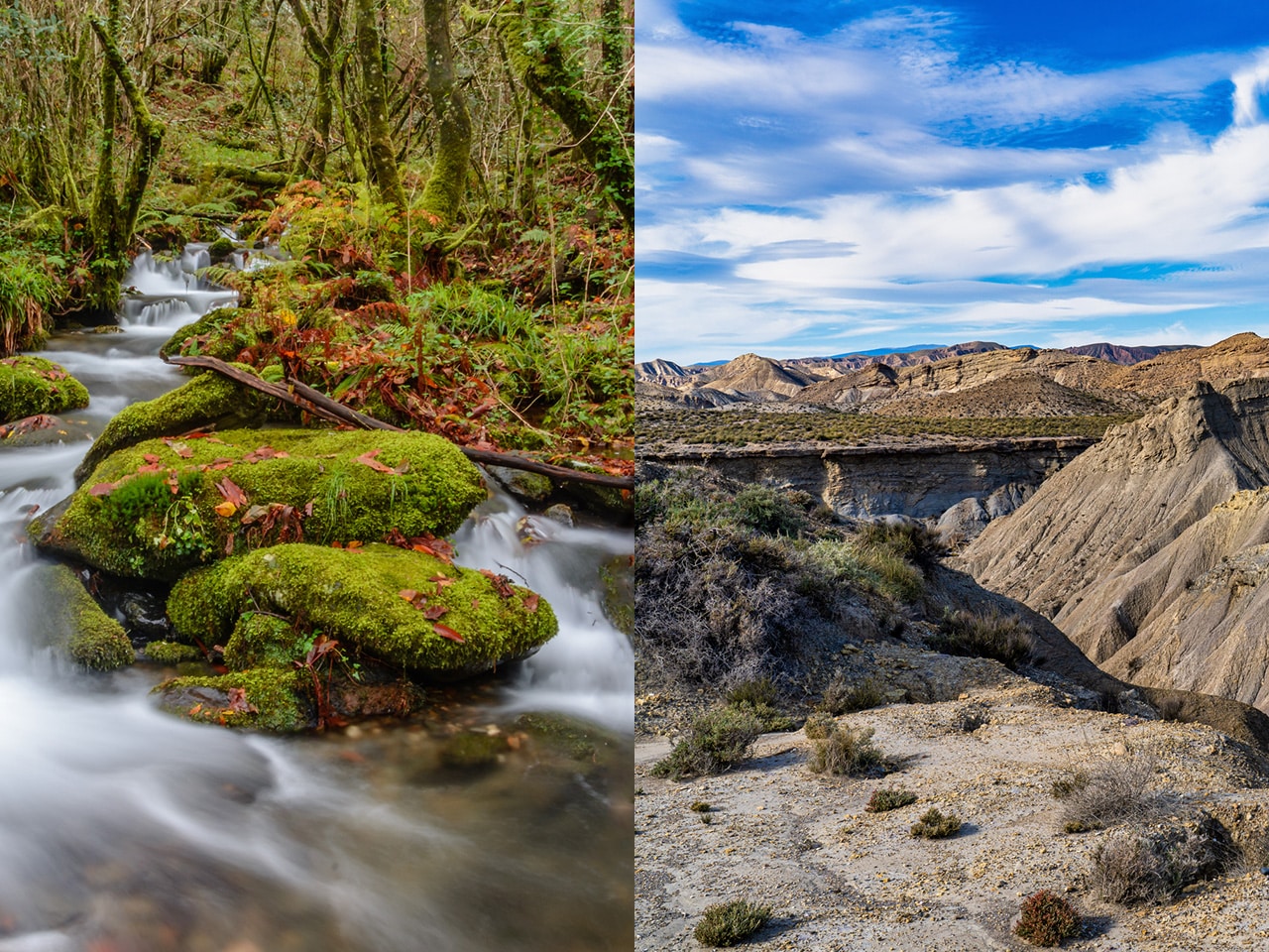 España: del desierto a la selva tropical en un solo día ¿cómo es posible?