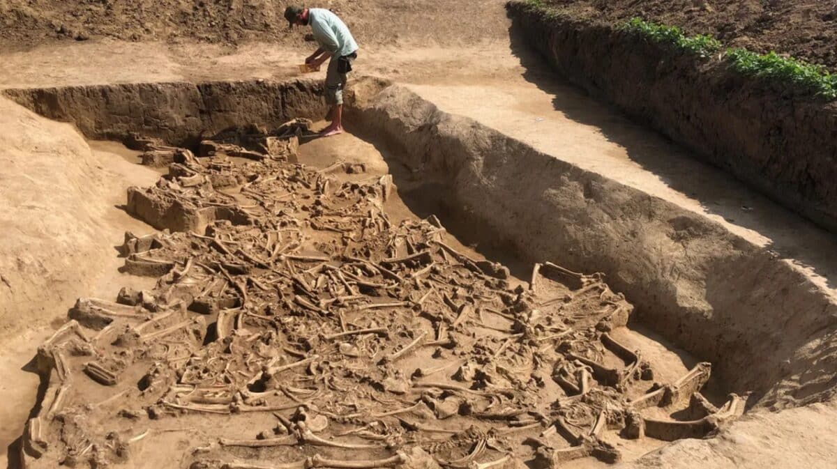 El misterio de los cuerpos sin cabeza en una fosa de hace 7.000 años
