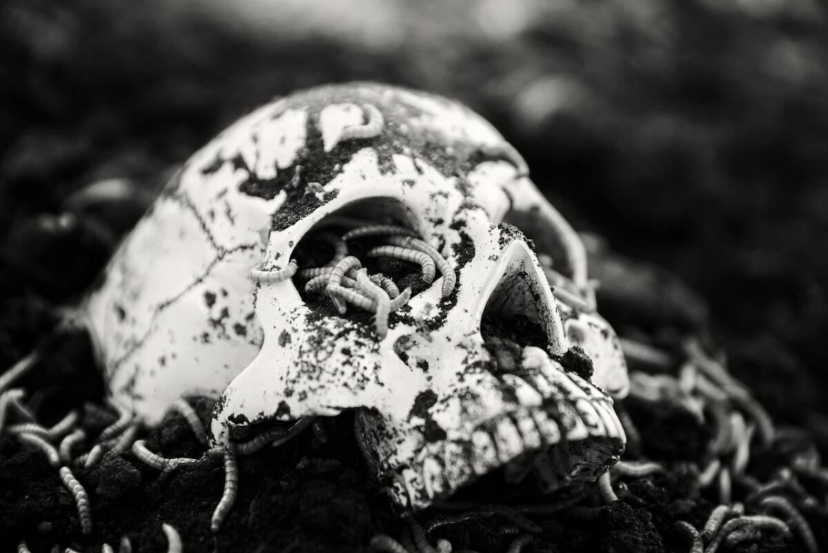 La peste no es de la Edad Media: ya mataba hace 5.500 años en Siberia