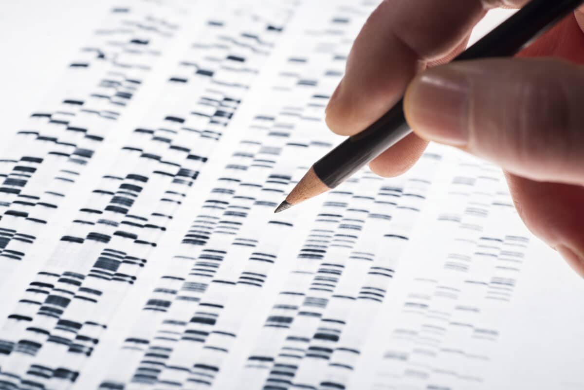Los genes de neandertales que explican por qué los humanos hablamos