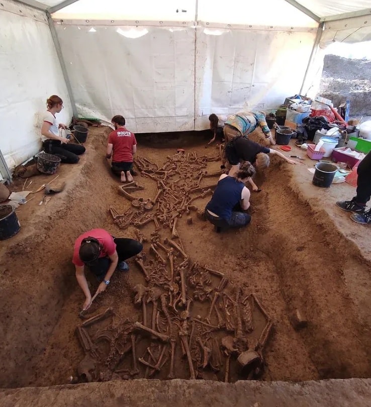 Sección oeste de la excavación, 2024