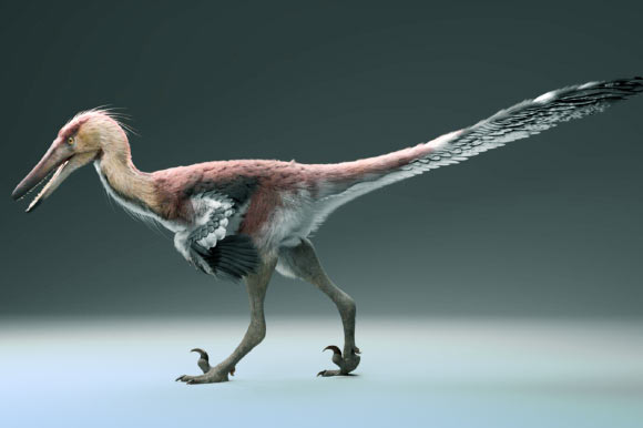 Nuevo dinosaurio: pescaba como una garza en Patagonia hace 70 millones de años