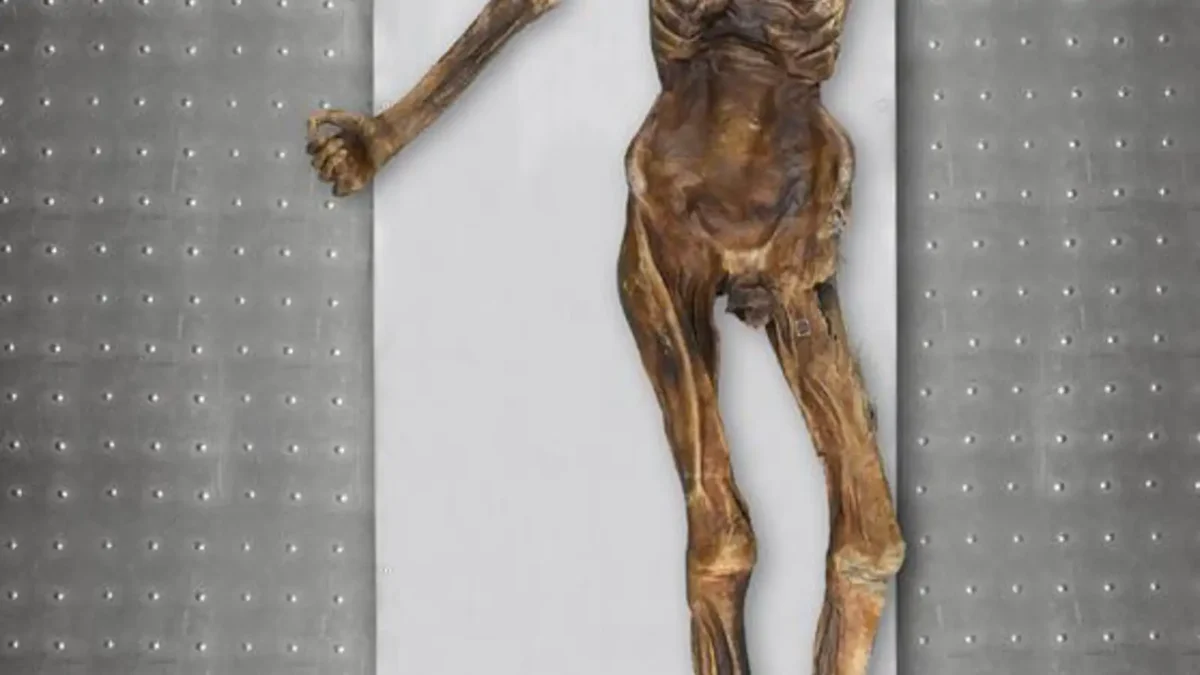Los científicos han hecho pan de masa madre con la levadura de la momia de Ötzi