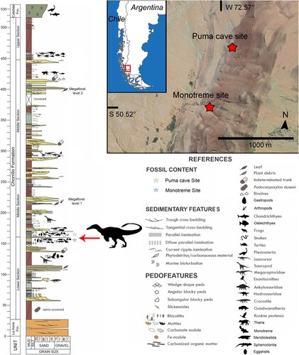 Mapa de la localidad y columna estratigráfica (adaptado de Novas et al., Cita2019; Moyano-Paz et al., Cita2022).