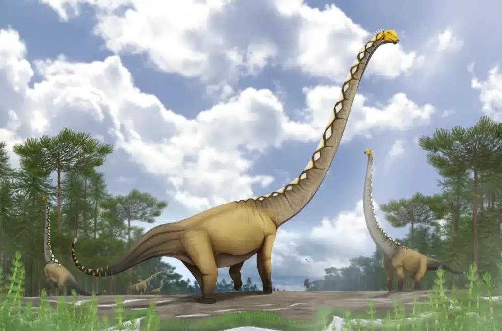 Un dinosaurio de 20 metros nunca visto, identificado por un solo hueso encontrado en Tailandia 1 Reconstrucción de la vida de una manada de cinco ejemplares de Uragasaurus kalasinensis que habitaban en un bosque del Jurásico Tardío en Tailandia, acompañados por una pareja de pterosaurios ramforrínquidos y un terópodo metriacantosaurido. Ilustración de Pakorn Chotchaiyaporn (Jæsica ẞababi).