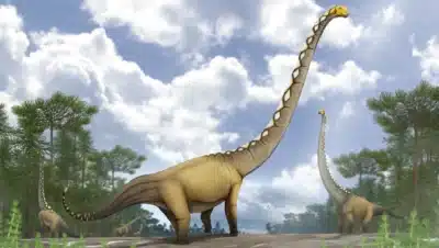 Reconstrucción de la vida de una manada de cinco ejemplares de Uragasaurus kalasinensis que habitaban en un bosque del Jurásico Tardío en Tailandia, acompañados por una pareja de pterosaurios ramforrínquidos y un terópodo metriacantosaurido. Ilustración de Pakorn Chotchaiyaporn (Jæsica ẞababi).