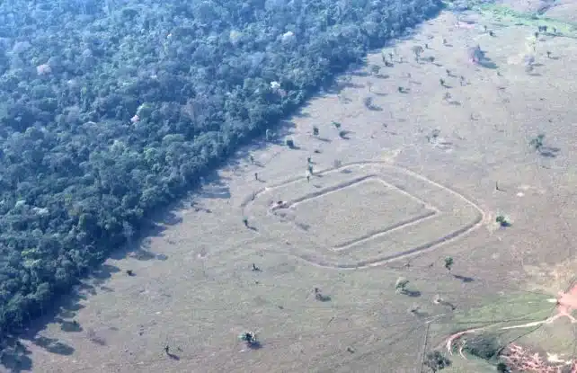 Un escáner láser revela una civilización perdida bajo la selva del Amazonas 4 Fotografía aérea de los movimientos de tierra en Piloto. (Martti Pärssinen)