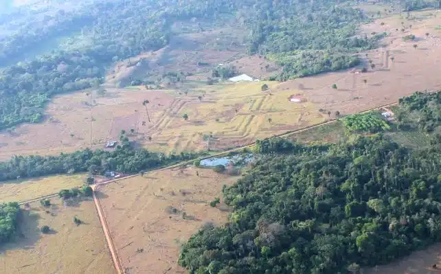 Un escáner láser revela una civilización perdida bajo la selva del Amazonas 2 Fotografía aérea de los movimientos de tierra en el yacimiento de Tequinho, en Acre (Brasil). La cultura Aquiry recibe su nombre de la palabra que los pueblos indígenas utilizaban para referirse al río Acre, que fluye desde Perú y Bolivia hasta Acre, atravesando el corazón de esta antigua civilización. (Martti Pärssinen, cedida)