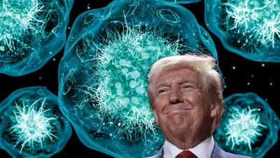 trump ciclosporosis
