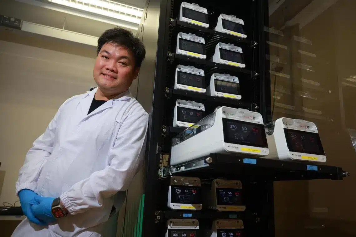 El primer centro de datos biológico usa neuronas humanas en lugar de chips 2 Chong Hon Weng junto al equipo del «Cortical Cloud» (centro de datos biológicos) en la Universidad Nacional de Singapur (7 de agosto). Fuente: The Straits Times (foto de Jason Quah).