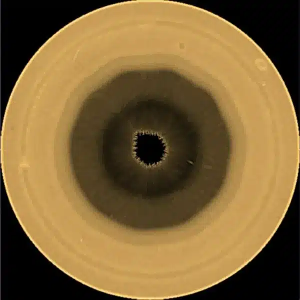 El misterioso decágono vasco de Saturno se suma al misterioso hexágono 1 decágono en saturno
