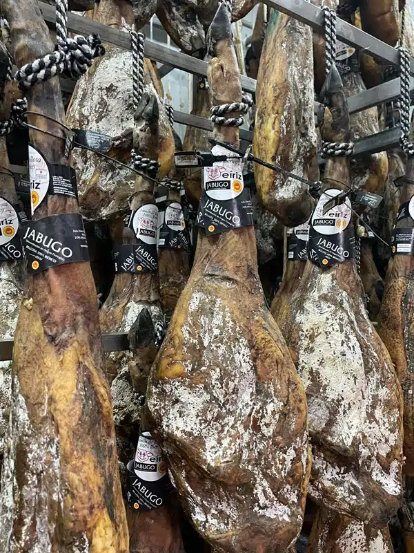 Jamón ibérico de Jabugo, la ciencia de un manjar único en el mundo 4 jamón ibérico