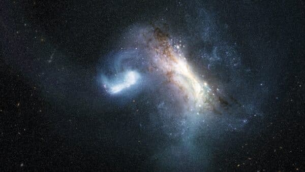 Una ilustración de dos galaxias en plena colisión sobre un fondo oscuro repleto de estrellas. La colisión ocupa el tercio central de la ilustración. A la derecha, se observa una galaxia más grande desde un ángulo que va de las 11 en punto a las 4 en punto, con un núcleo de color blanco-amarillento rodeado de franjas de polvo marrón moteadas y tenues brazos espirales azulados. A la izquierda, una galaxia más pequeña, de color azul-blanco brillante, se alarga hasta adoptar una forma curvada, similar a un gancho, a medida que la gravedad la distorsiona. Un amplio y resplandeciente puente de gas azul pálido y estrellas se extiende desde la galaxia hacia la izquierda, mientras que finas corrientes se extienden por encima y por debajo de la galaxia más grande, a la derecha. Las palabras «Concepto artístico» aparecen en la esquina inferior izquierda.] CRÉDITO NASA, ESA, Joseph Olmsted (STScI)