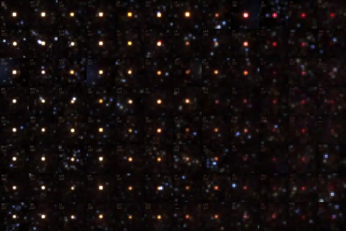 Enanas marrones: las estrellas góticas del universo 2 Enanas marrones observadas por SPHEREx. (Crédito de la imagen: Zafar Rustamkulov/NASA/JPL-Caltech)