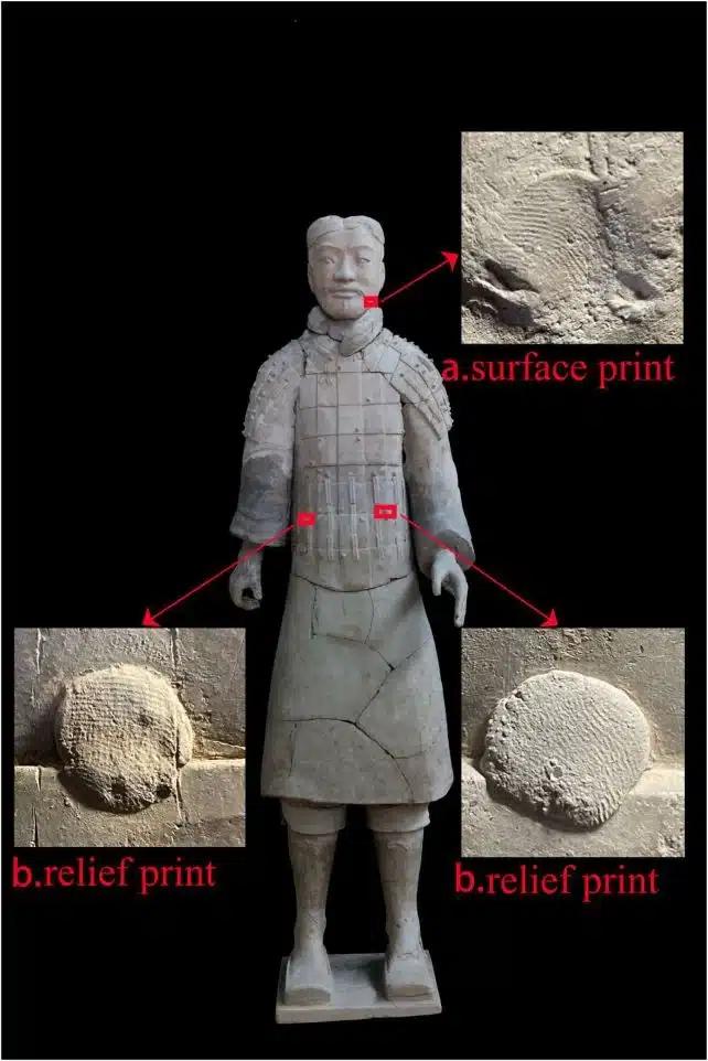 Sorpresa: ¿quién construyó el ejército de terracota en China? 2 Huellas dactilares conservadas en un guerrero del Ejército de Terracota. La imagen superior muestra una huella superficial en la cabeza; las imágenes inferiores muestran huellas en los adornos en relieve de la armadura. (Li et al., J. Cult. Herit., 2026)